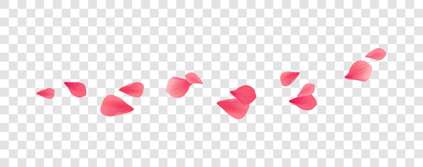 Petals Roses Flowers. Pink Red Sakura flying petals isolated on transparent background. Vector