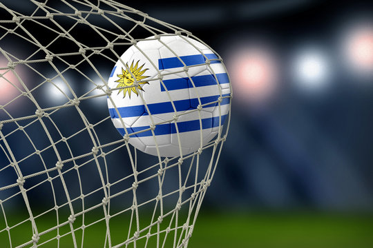 Uruguayan soccerball in net