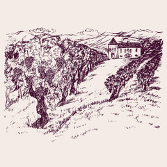 Small chateau with vineyard on mountain hills, hand drawn doodle, drawing suitable for wine label design, sketch in pop art style, black and white vector illustration
