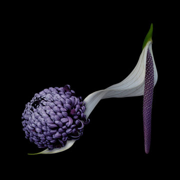 Close up of flower shoe