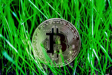bitcoin coin in green grass