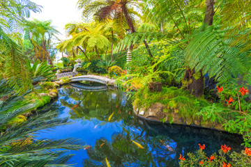 Fototapety  Japanese tropical garden with fishes on lake in Madeira island, Portugal