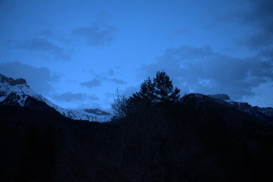 noche en la selva de oza en pirineos en huesca