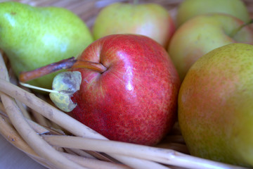 pears in the basket
