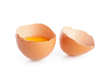 egg on white background