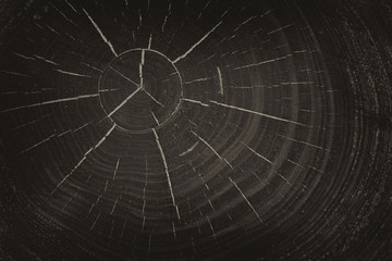 abstrakter Hintergrund schwarzes Holz mit weißen Rissen