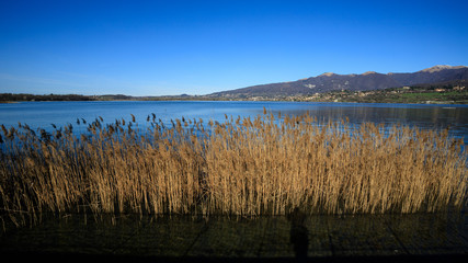 lago di Pusiano