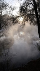 Obraz na płótnie Canvas fog 1