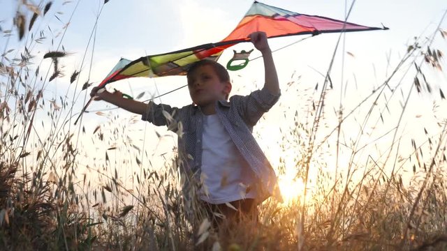 beautiful little boy standing among the grass holds a toy kite over his head and represents that flies on paragliding. concept dream of flight