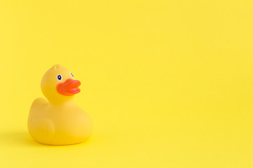 Rubber duck toy for swimming on yellow background.