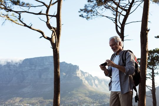 Senior Hiker Reviewing Picture On Mobile Phone In Forest