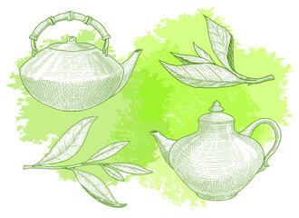 Set of teapots and green tea leaves on watercolor background.
