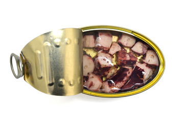 tin squid isolated on white