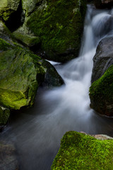 Wasserfall Steine Moos