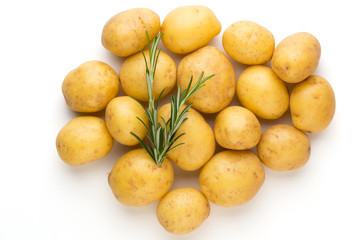 New potato and rosemarin isolated on white background close up.