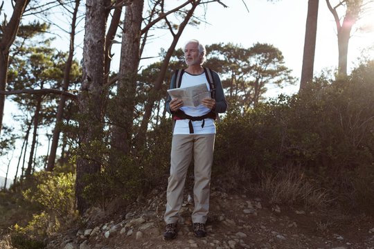 Senior hiker standing with map in forest