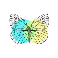 Obraz na płótnie Canvas Vector. Abstract polygonal butterfly