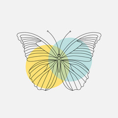 Vector. Abstract polygonal butterfly