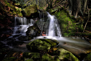 Fototapeta na wymiar Wasserfall Wald Moos