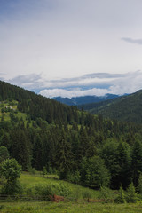 Obraz premium Beautiful cloudy mountain landscape. Vertical color photography.