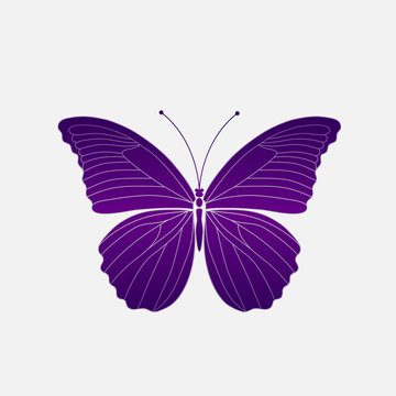 Vector. Abstract polygonal butterfly