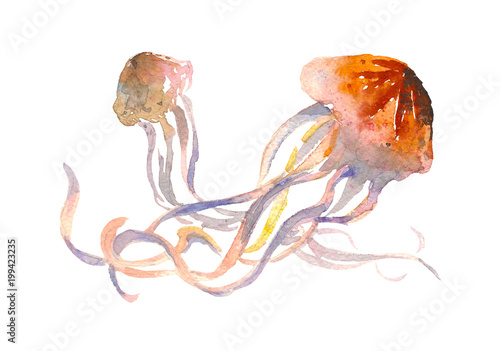 Jellyfish Isolated Symbol Medusa With Long Tentacles Logo