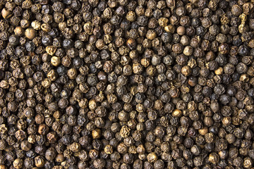 Black peppercorn seeds background. Macro shot