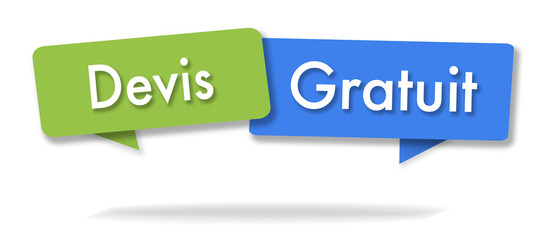 Free estimate illustration in two colored bubbles