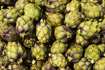 Obraz premium Carciofi Violetti freschi, Italian Slow Food 