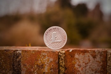 Silver litecoin coin