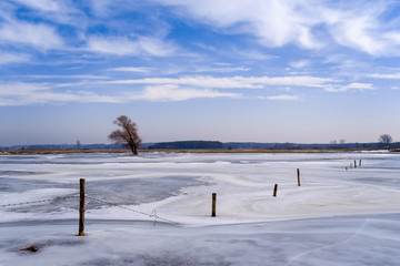 Łąki nad Narwią © podlaski49