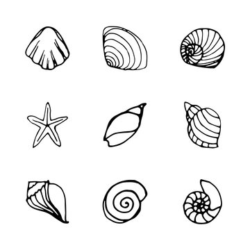 9 shell icons set in outline style.