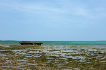 Fototapeta na wymiar 黒島の海岸風景