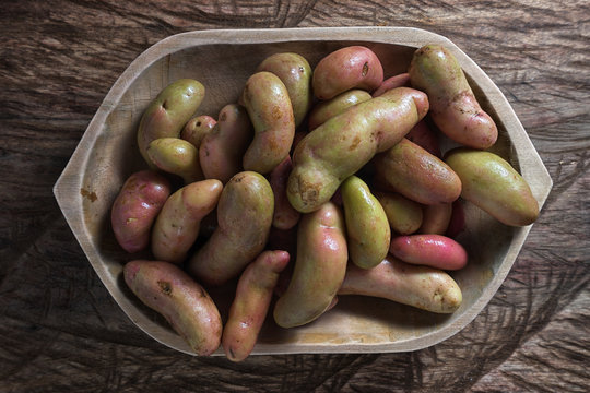 rustic wooden bowl filled with melloco tuber  closeup in Ecuador