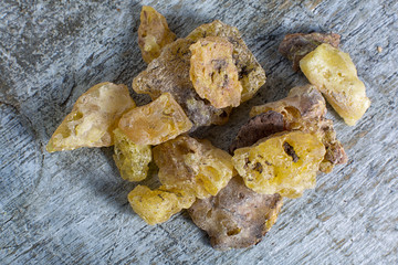 copal tree resin closeup in Ecuador