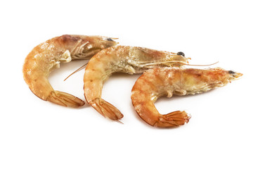 Freshly frozen boiled shrimps