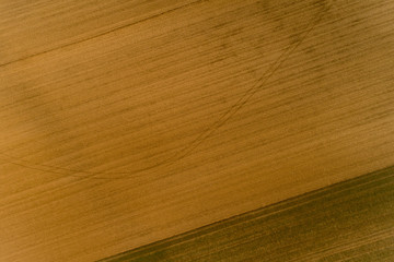 Luftbild Felder im Frühling