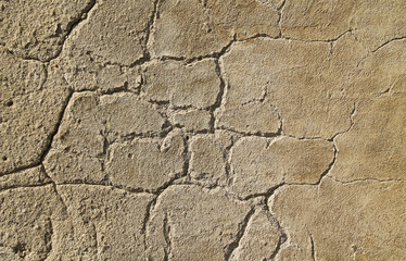 detail of the cracked surface of the old desolated wall of a ruined house