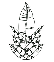 carnival feathers ornament decorative