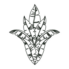 carnival feathers ornament decorative