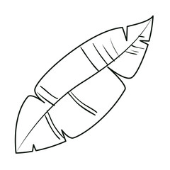 feather bird decorative icon