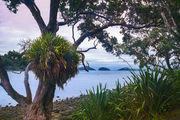 Morgenstimmung in Neuseeland