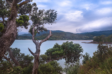 Küstenlinie Neuseeland