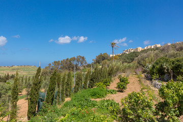 Obraz premium Views from Mtarfa