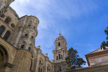 Fototapeta premium Iglesia Catedral de la Encarnación de Málaga, Andalucía