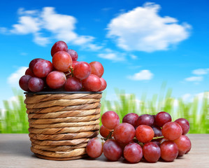 Ripe grape vine in wooden basket. Summer harvest. Gardening concept.