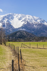Fototapeta na wymiar idyllic alps landscape in spring time 