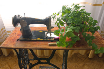 A sewing machine and a potted plant in the background of a window