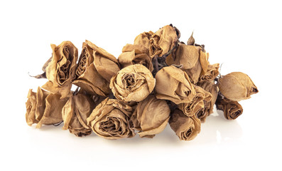 Dried roses on a white background.