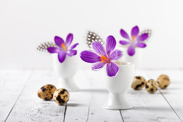 Easter egg vases with open purple crocus flowers and feathers. Selective focus.